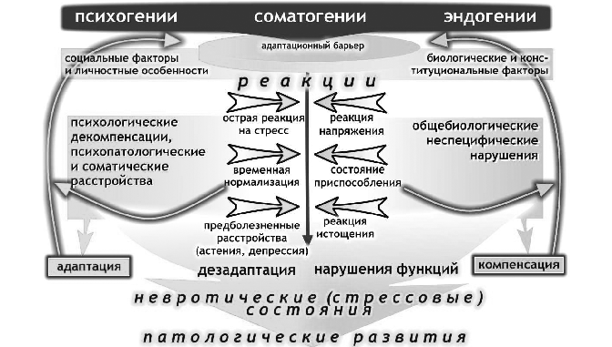 Динамика основных форм пограничных психических расстройств,обусловленных стрессовыми воздействиями