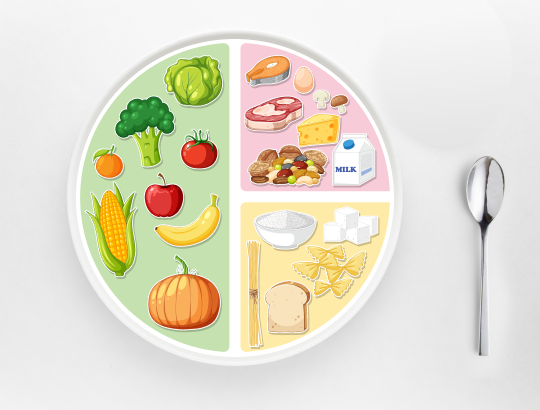 Гарвардская тарелка: простая схема здорового питания
