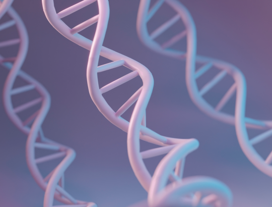 Почему мы стареем и при чем тут теломеры: биология, рак и стресс