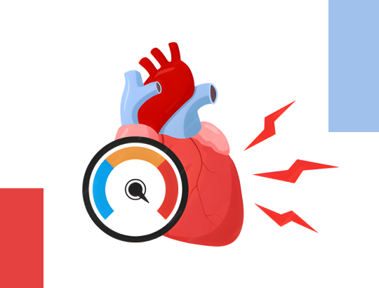 Расчет массы миокарда левого желудочка