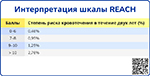 Интерпретация шкалы REACH, превью