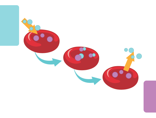 Интерпретация кислотно-основного состояния и газового состава крови