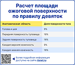 Расчет площади ожоговой поверхности по правилу девяток, превью