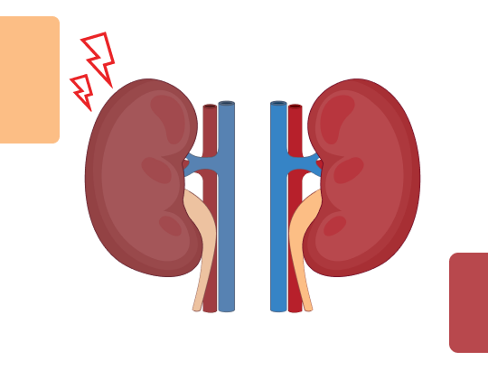 Расчет фракционной экскреции натрия