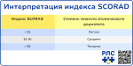 Интерпретация индекса SCORAD, превью