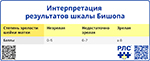 Интерпретация результатов шкалы Бишопа, превью