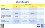 Шкала Бишопа, превью