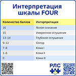 Интерпретация шкалы FOUR, превью