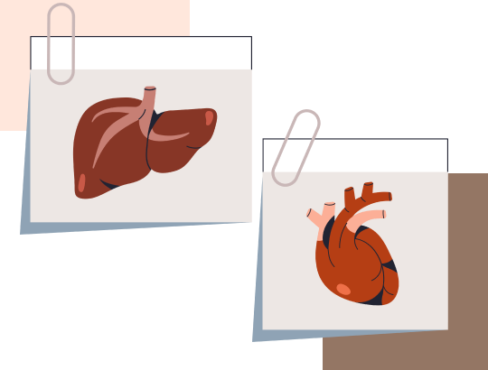 Коэффициент де Ритиса