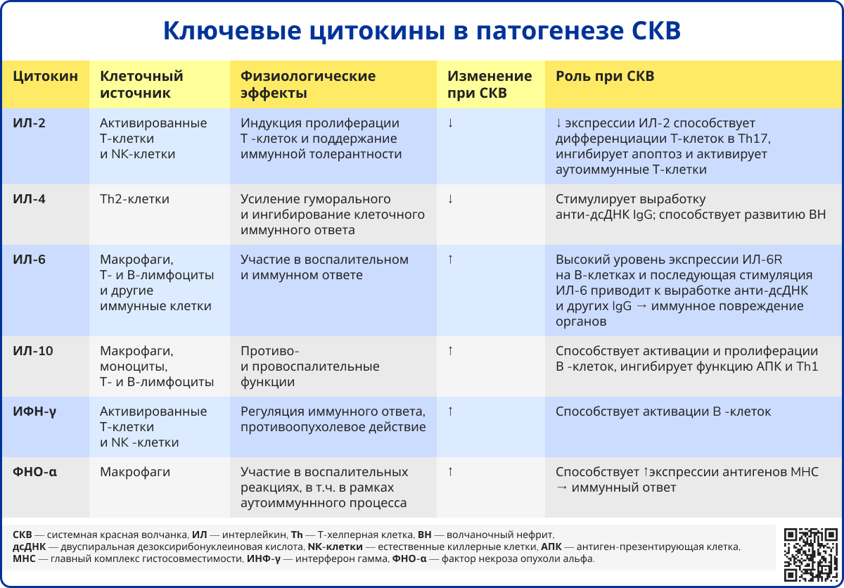 Ключевые цитокины в патогенезе СКВ