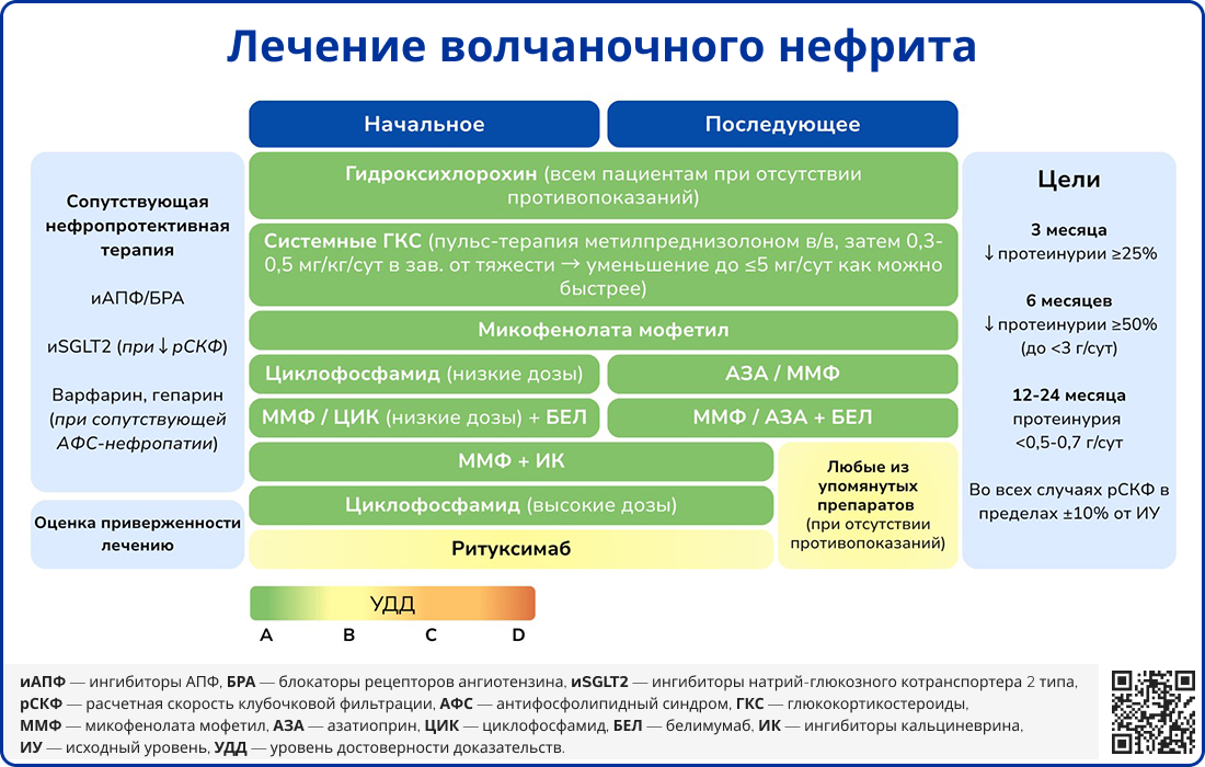 Лечение волчаночного нефрита