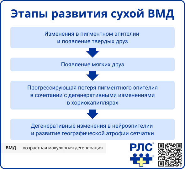 Этапы развития сухой ВМД
