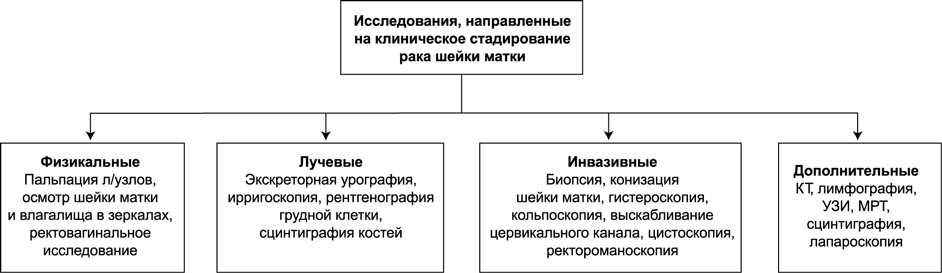 Исследования, необходимые для определения клинической стадии инвазивного РШМ