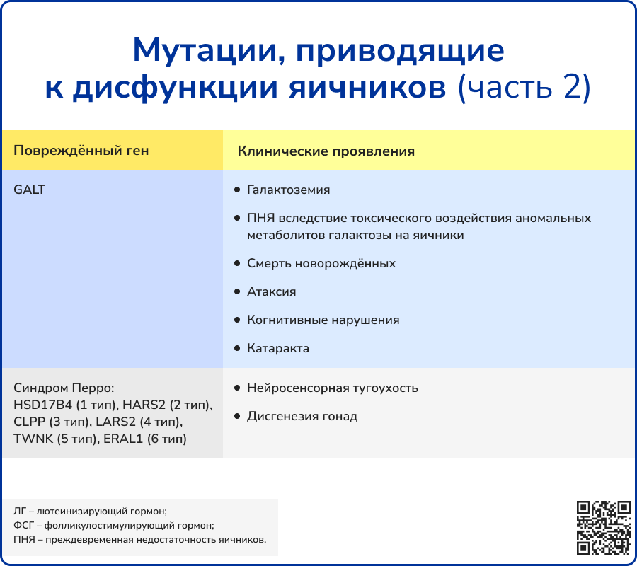 Мутации, приводящие к дисфункции яичников часть 2