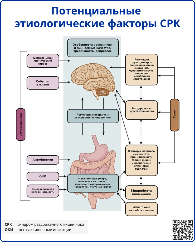 Потенциальные этиологические факторы СРК
