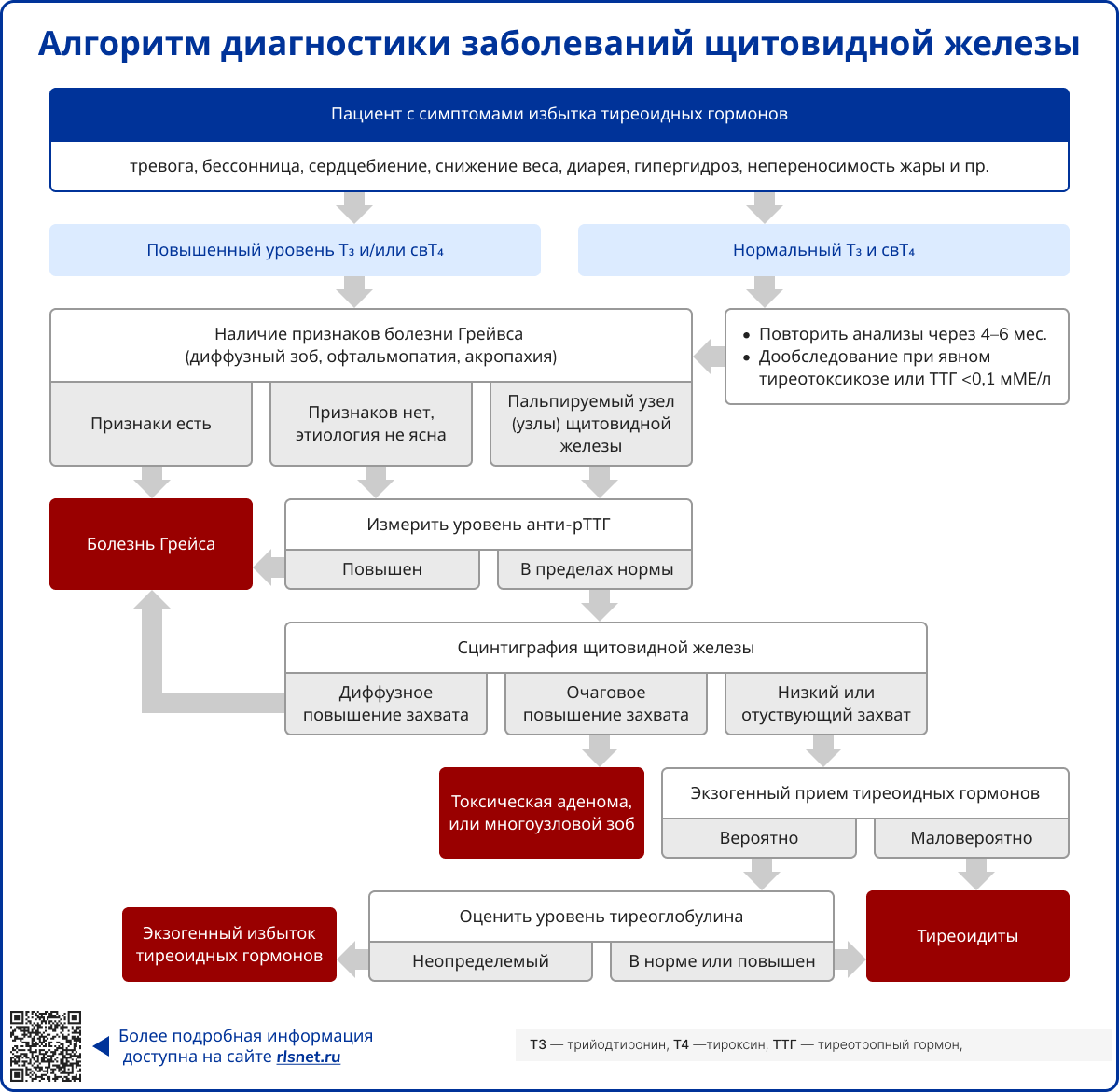Алгоритм диагностики заболеваний щитовидной железы