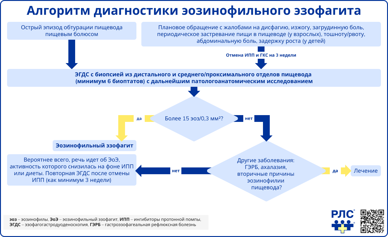 Алгоритм диагностики эозинофильного эзофагита