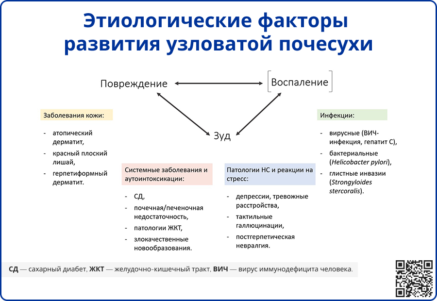 Этиологические факторы развития узловатой почесухи