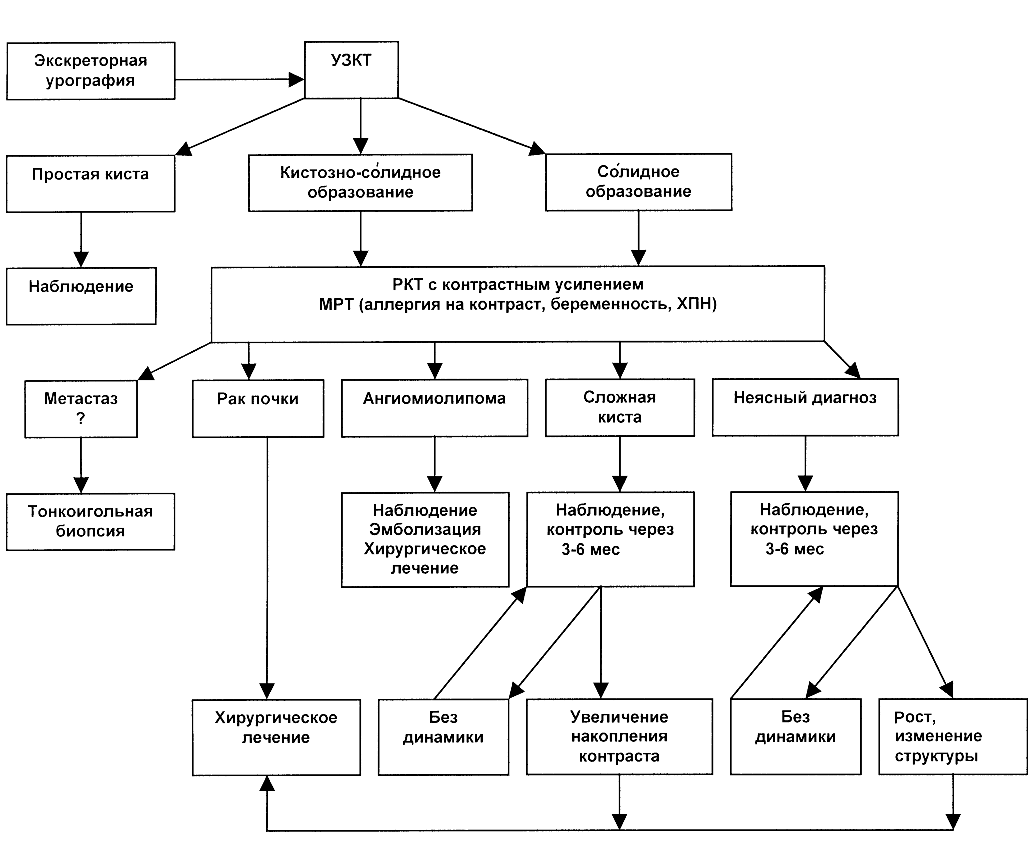 Алгоритм диагностики опухолей почки