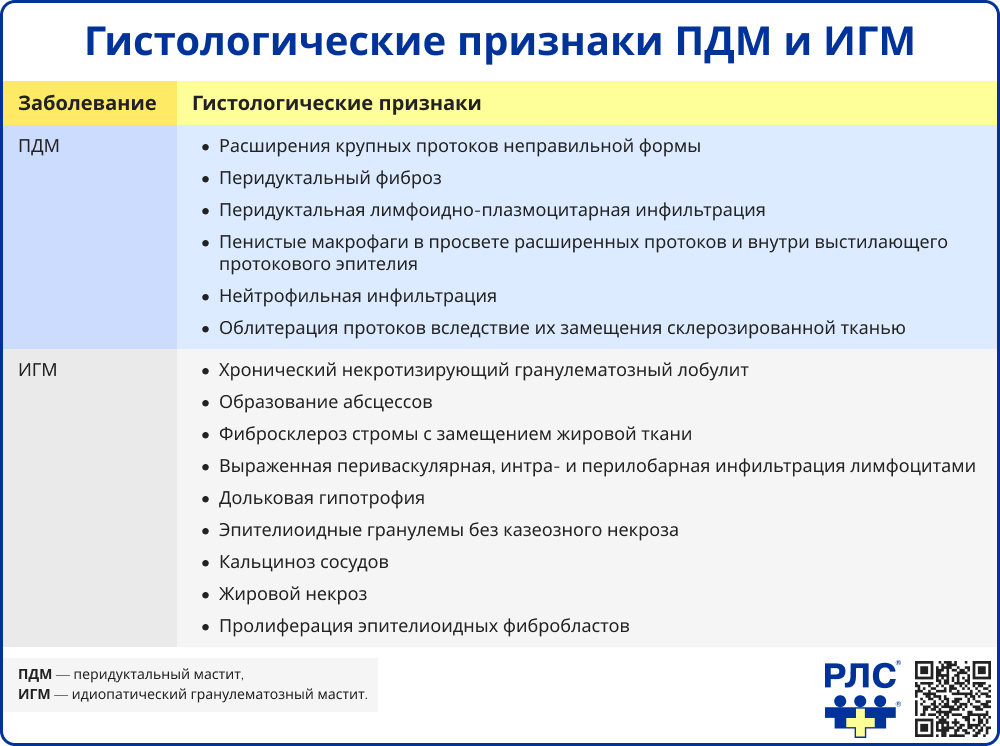 Гистологические признаки ПДМ и ИГМ