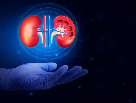 Микофеноловая кислота — новое описание