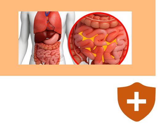 Новый калькулятор «Мангеймский индекс перитонита»