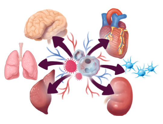 Новый калькулятор «Шкала SOFA»