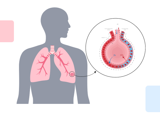 Новый калькулятор: Расчет альвеолярно-артериального градиента