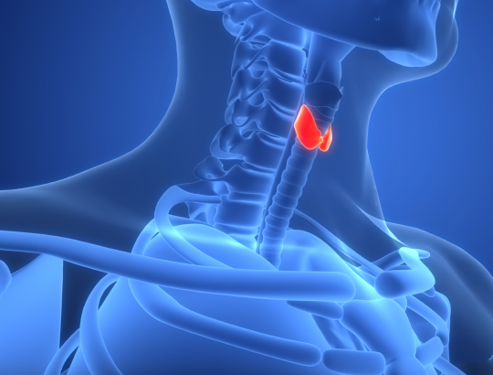 Декабрьские чтения для врачей-эндокринологов